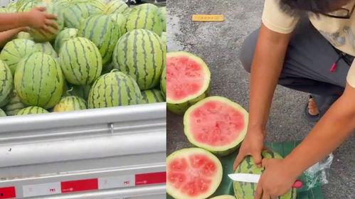 生瓜不熟可以吃吗视频,能否食用揭秘