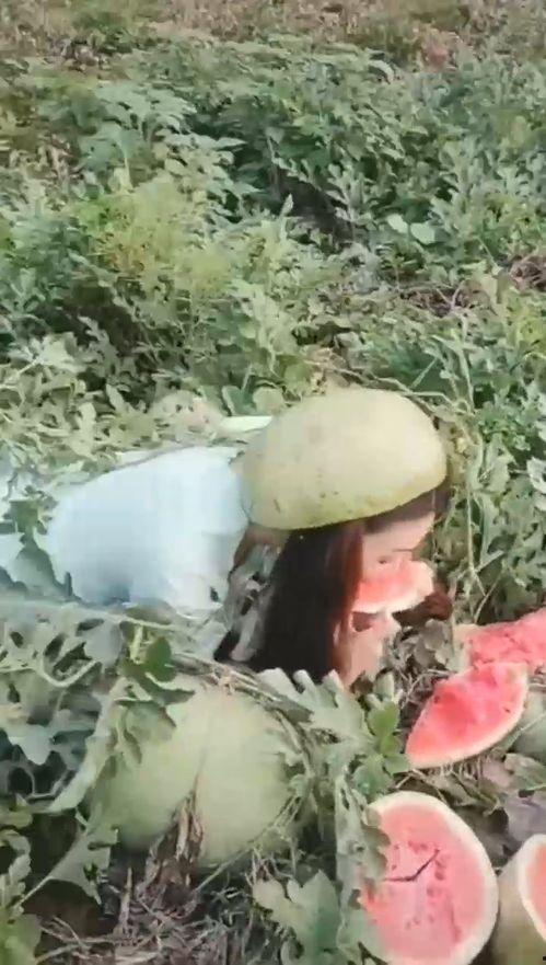 最漂亮小姐姐吃瓜图片视频,最漂亮小姐姐的吃瓜瞬间，美颜暴击来袭！