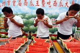 安徽亳州人吃瓜视频,一场视觉与味觉的双重盛宴