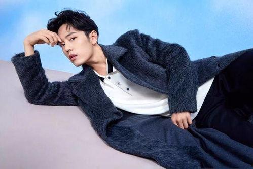 宋佳吃瓜肖战是真的吗视频,揭秘视频背后的真相